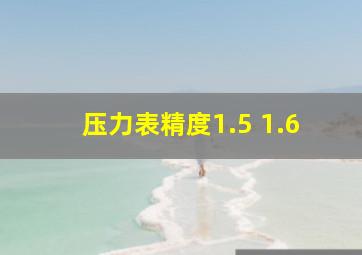 压力表精度1.5 1.6